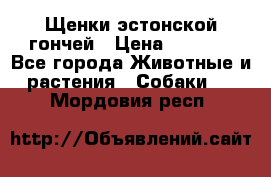Щенки эстонской гончей › Цена ­ 7 000 - Все города Животные и растения » Собаки   . Мордовия респ.